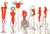 Vintage 1960s Alexander Calder Lithograph double page part of portfolio "Derriere le Miroir". Published by: Galerie...