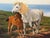 After Henry William Banks Davis RA (1833–1914) Equestrian Oil Painting of a Grey Mare and Chestnut Foal ("Mother and...