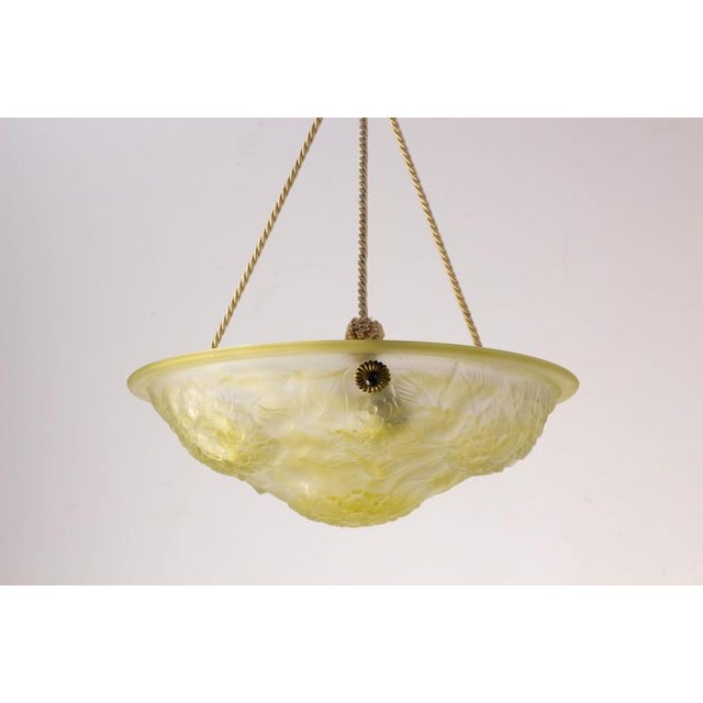Molded Glass Bowl Pendant Light with Floral Design, 1890s For Sale - Image 3 of 9
