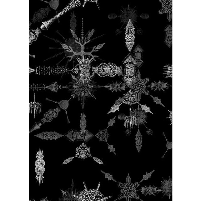 Unseen Tablecloth B by CTRLZAK Studio For Sale - Image 4 of 4