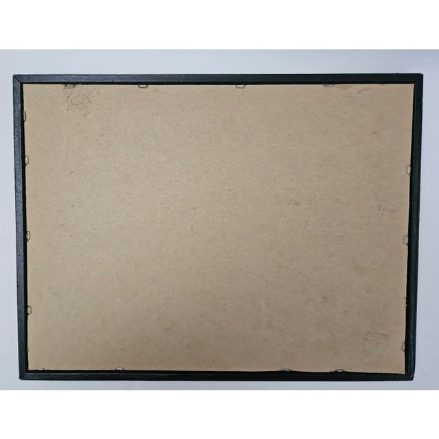 Framed and Matted Still Life Pencil Drawing of a Clove of Garlic, Signed "Evans" For Sale - Image 10 of 10