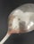 Silver Holmes & Edwards Pearl 1898 Silverplate Round Bowl Gumbo Soup Spoons - Set of 6 For Sale - Image 8 of 9