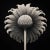 18' X 18' 'Cotula Turbinata' (Mayweed Flower) - Black and White Limited Edition Botanical Photography Print, Unframed For Sale