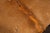 Animal Skin Mid 20th Century Monumental Longhorn Horn Throne Chair For Sale - Image 7 of 13