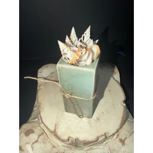 Celestial Meet the Sea Cut Shells-Coastal Art Sculpture For Sale - Image 4 of 5