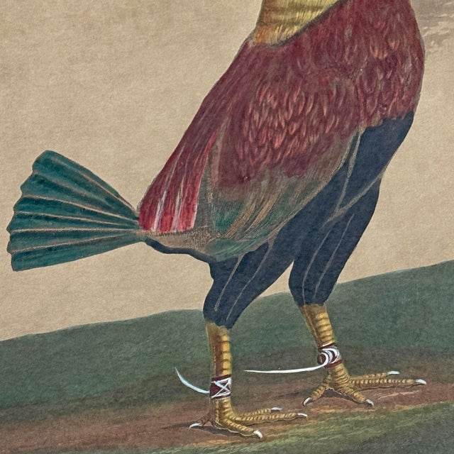 Framed Pair of 19th Century 'War' and 'Peace' Hand-Tinted Lithographs For Sale In Chicago - Image 6 of 13