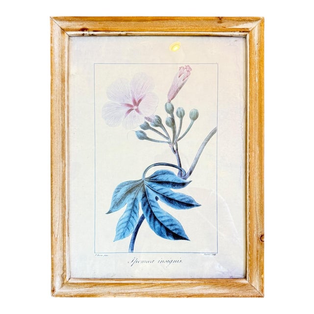 Wood Framed Wall Decor Floral - Set of 4 For Sale - Image 4 of 6