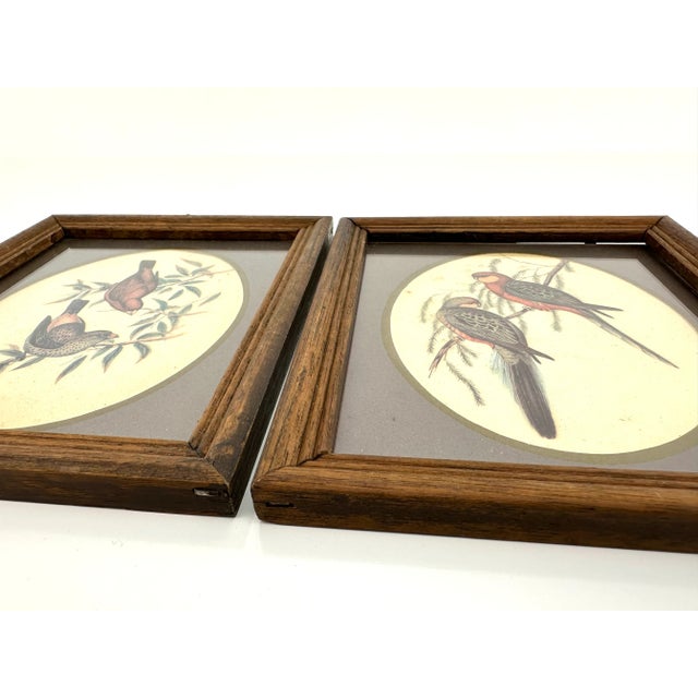 Vintage Mid Century Italian Small Wood Framed Bird Prints, a Pair For Sale - Image 10 of 11