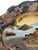 Vintage Satsuma Hand Painted Earthenware Platter With Scalloped Edges For Sale In Birmingham - Image 6 of 12