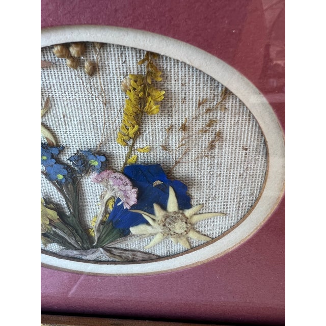 1960s Dried Flowers Matted and Framed. For Sale - Image 4 of 7