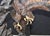 Large 20th Century Bronze Sculpture of an American Bald Eagle For Sale - Image 4 of 8