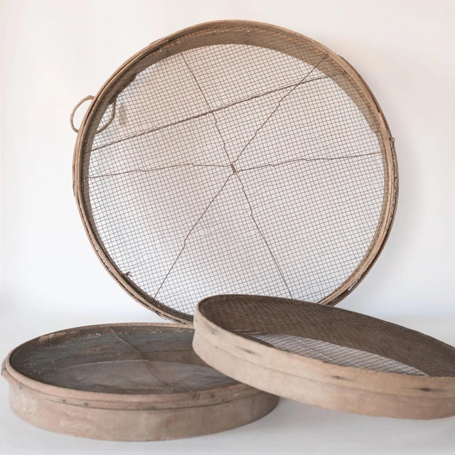 1920s Rustic Wooden Grain Sieves, 1920s, Set of 3 For Sale - Image 5 of 5