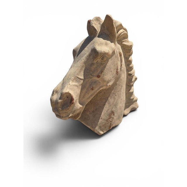 Greek Horse Head Sculpture in Terracotta, Italy, 1950 For Sale - Image 6 of 7