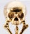Desk Clock French Ormolu Gilt Bronze Verge Fusee Memento Mori Skull Bones For Sale - Image 17 of 17