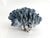 Shell Natural Blue Coral Specimen For Sale - Image 7 of 8