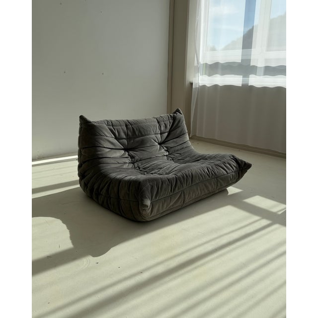 Togo Two-Seater Sofa in Grey Alcantara by Michel Ducaroy for Ligne Roset, 2002, in Very Good conditions. Designed 1970 to...