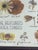 1960s Botanical Herbarium Maine Wildflowerrsc & Garden Floweers For Sale - Image 4 of 5