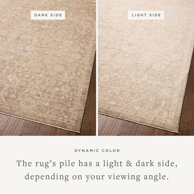 Textile Chris Loves Julia x Loloi Palma Bark / Natural 6'-3" x 9'-6" Area Rug For Sale - Image 7 of 7