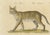 Karl Joseph Brodtmann, Serval and Eurasian Lynx, 1816, Lithograph For Sale - Image 4 of 9
