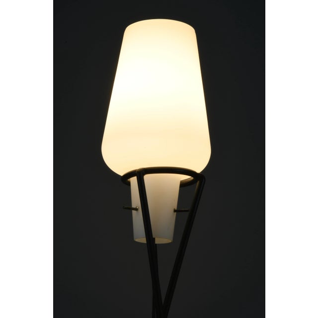 Mid-Century Black Painted Iron Floor Lamp with Milk Glass Shade, 1955 For Sale - Image 9 of 11