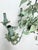 Green Vintage Regency Tole Rose Chandelier For Sale - Image 8 of 12
