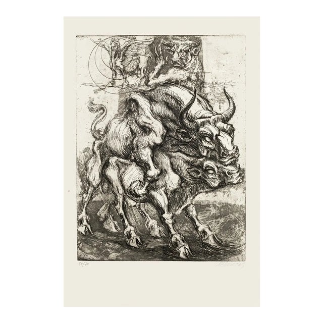 Bulls - Original Etching by M. Chirnoaga - Late 20th Century Late 20th Century For Sale