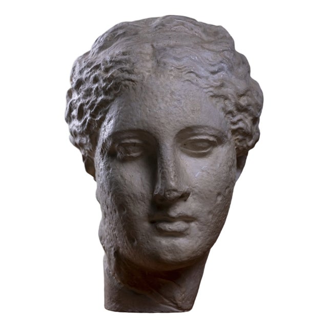 Head of Greek Goddess Hygeia, 1930s-1940s, Plaster Sculpture For Sale