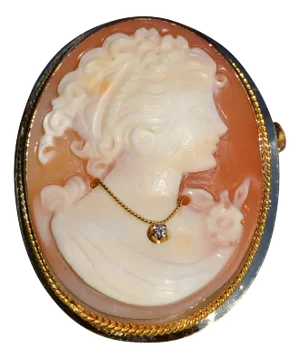 The Maneadero: Ladies 14K Gold Italian Made Shell Cameo Pin/Pendant