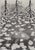 Contemporary Maurits Cornelis Escher, Autumn and Carp, 2008, Engraving For Sale - Image 3 of 9