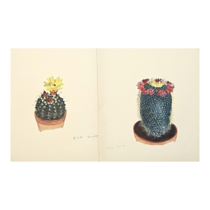 1939 Set of 2 French Flowering Cactus Botanical Lithographs, Documentation, Matted