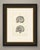 This antique anatomy print of median sagittal sections of the head is an original 1866 hand coloured lithograph from...