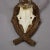 Antique Deer Trophy on Carved Plaque, Germany 1942 For Sale - Image 6 of 6