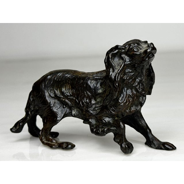 Traditional Antique Miniature Austrian Bronze Dachshund Sculpture, In the Manner of Franz Xaver Bergman, circa 1900 A...