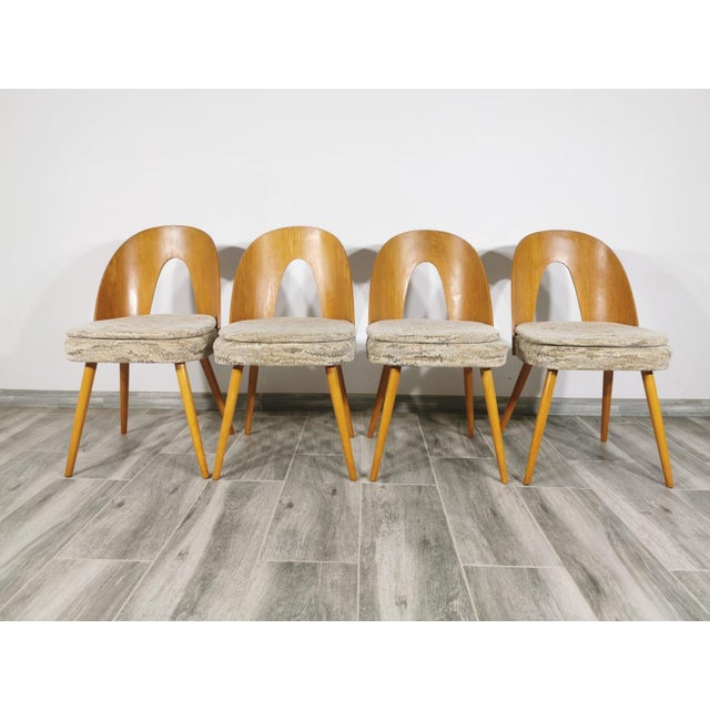 Dining Chairs by Antonin Suman, 1960s, Set of 4 For Sale - Image 6 of 18