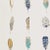 Harlequin Limosa Wallpaper in Indigo/Mustard/Stone - a Sample For Sale