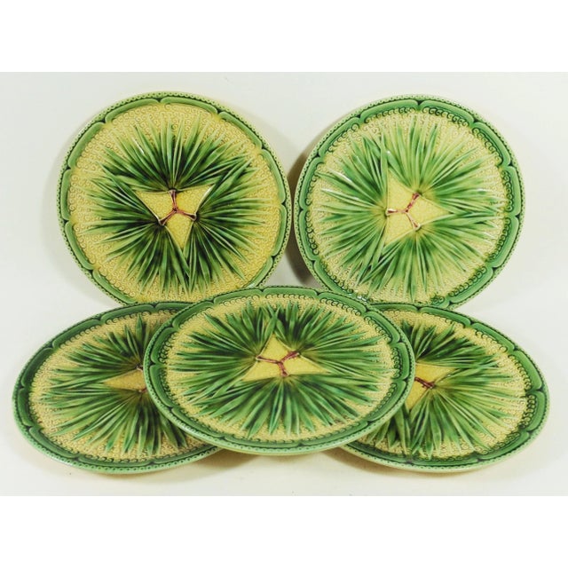 Luneville French Majolica Morning Glory Plate Luneville, Circa 1880 For Sale - Image 4 of 6
