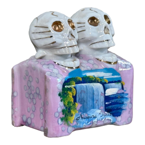 Vintage Niagara Falls Skull Salt and Pepper Shakers Ceramic Souvenir Set