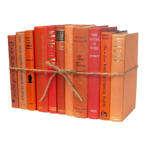 Decorative Books - Vintage Citrus Book Bundle - 1 Foot of Orange Books