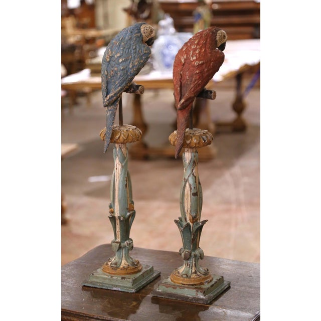 Pair of Mid 19th Century Italian Carved and Painted Parrot Candlestick Stands For Sale - Image 11 of 12