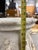 Mid 19th Century Carrera Marble Pedestal For Sale - Image 5 of 16