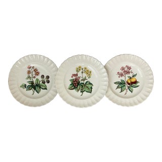 Vintage English Copeland Spode ‘Glendale’ Scalloped Plates in Chelsea Wicker, Botanical Centers With Varied Hand Colored Fruit & Floral- Set of 3 For Sale