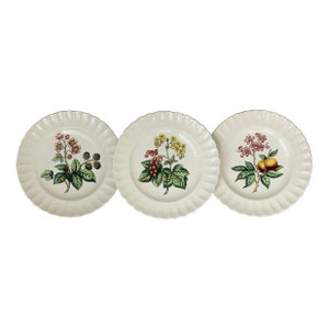 Vintage English Copeland Spode ‘Glendale’ Scalloped Plates in Chelsea Wicker, Botanical Centers With Varied Hand Colored Fruit & Floral- Set of 3