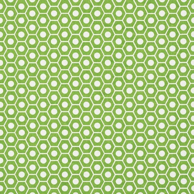 Sample - Schumacher X Studio Bon Queen B Fabric in Green For Sale