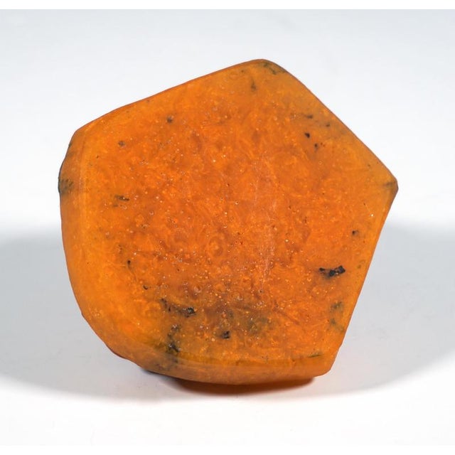 Glass Art Nouveau Pate de Verre Snail Paperweight by Amalric Walter & Henri Bergé, France, 1920 For Sale - Image 7 of 8