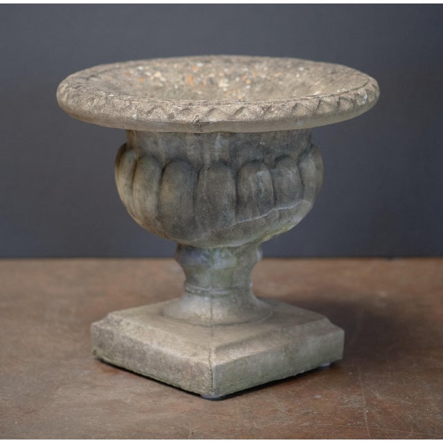 Mid 20th Century English Garden Stone Urn or Planter Pot on Square Plinth Base For Sale - Image 5 of 10