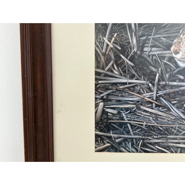 Charles Fracé “My Friend – Eastern Cottontail” Limited Edition Wildlife Print For Sale - Image 10 of 14