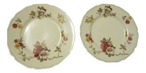 Vintage Apple Blossom Flowered Plates - Pair