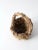 Vintage Twig & Moss Basket For Sale - Image 10 of 11