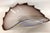 Glass 17" Nautical-Style Hand Blown 3-Lb Centerpiece Art-Glass Conch For Sale - Image 7 of 14