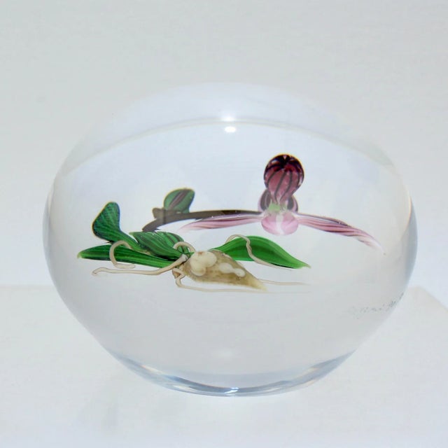 Chris Buzzini Artist-Proof Orchid Flower and Roots Art Glass Paperweight For Sale - Image 12 of 13